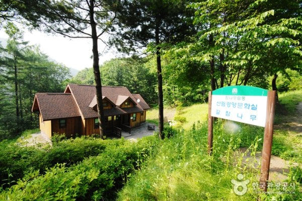 仲美山自然休養林（중미산자연휴양림）