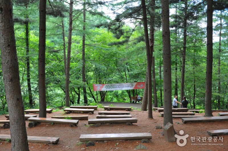 仲美山自然休養林（중미산자연휴양림） (6/26)