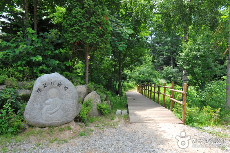 仲美山自然休養林（중미산자연휴양림） (7/26)