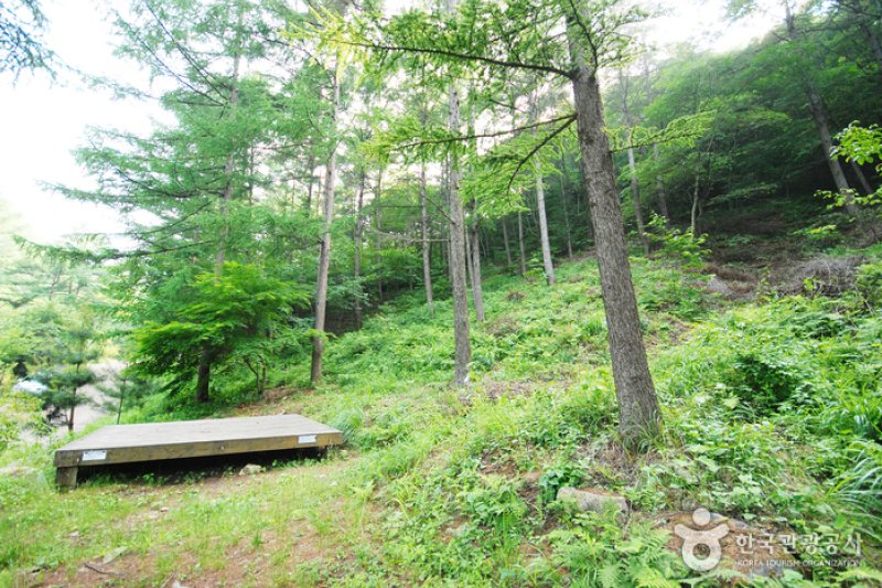 仲美山自然休養林（중미산자연휴양림） (9/26)