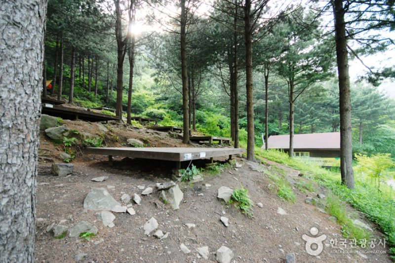 仲美山自然休養林（중미산자연휴양림） (14/26)