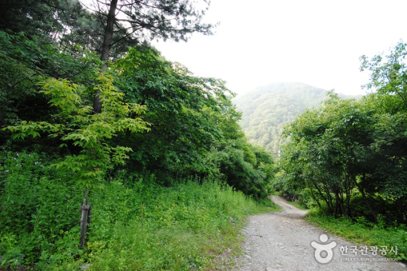 仲美山自然休養林（중미산자연휴양림） (15/26)
