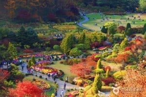 アチムゴヨ樹木園 割引クーポン