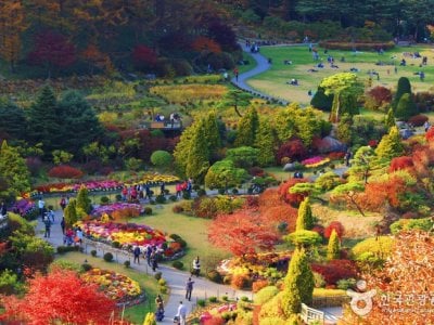 アチムゴヨ樹木園