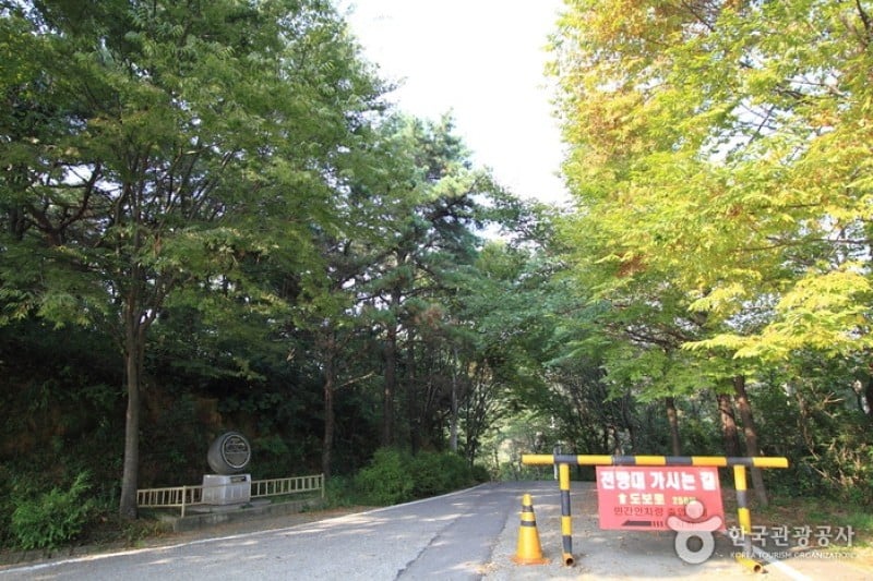 愛妓峰 (1/5)