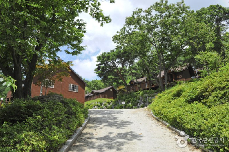 龍門山自然休養林 (1/6)