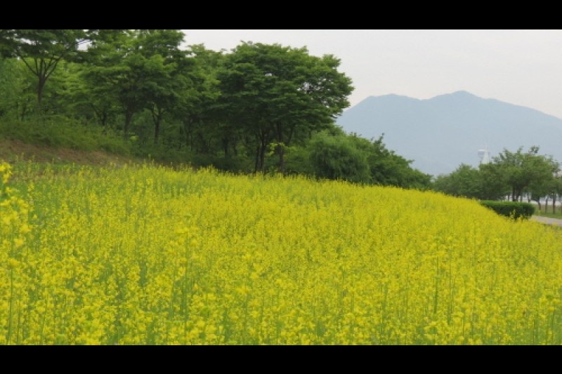 渼沙里競艇公園 (3/5)