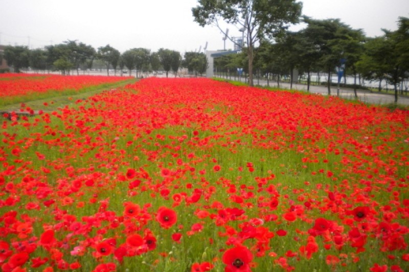 渼沙里競艇公園 (4/5)