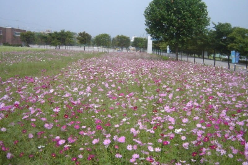 渼沙里競艇公園 (5/5)