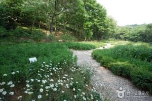 ソウル大学校農業生命科学大学樹木園