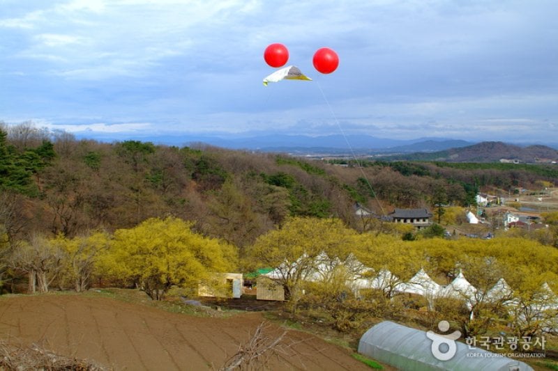 利川山茱萸村 (2/7)