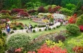 アチムゴヨ樹木園春祭り