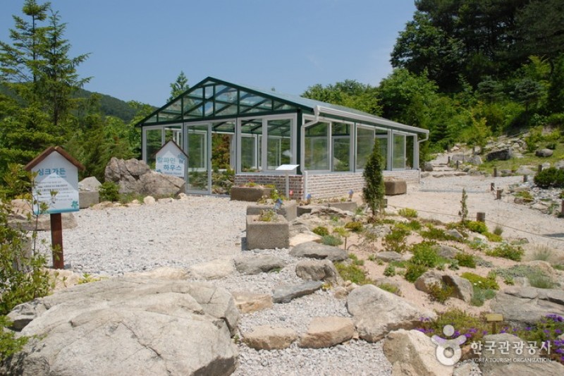平康植物園 (5/14)