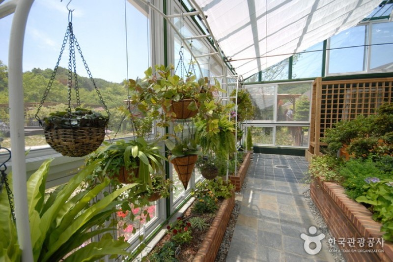 平康植物園 (13/14)