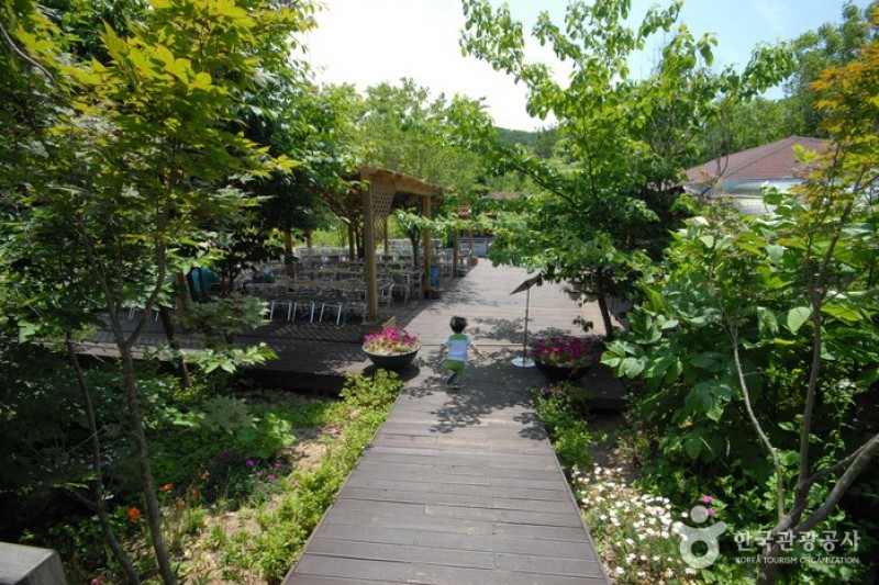 平康植物園 (14/14)