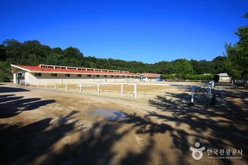 元堂種馬牧場（レッツランファーム元堂）（원당종마목장  (7/15)