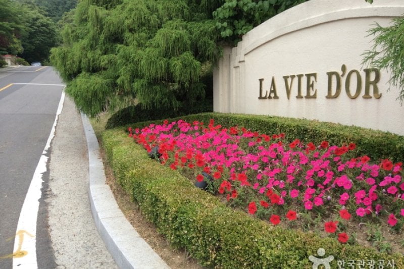LA VIE D'OR RESORT (2/5)