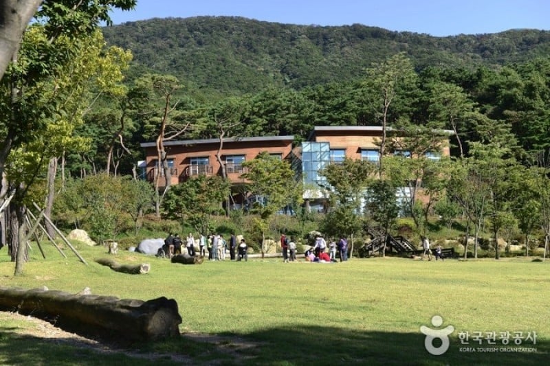 龍仁自然休養林 (2/4)