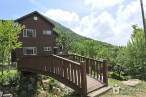 龍門山自然休養林