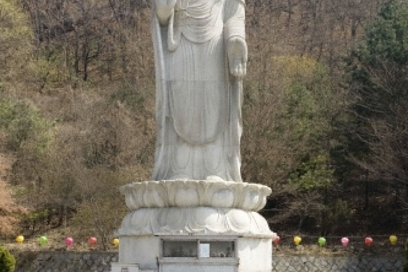 普光寺 (8/49)
