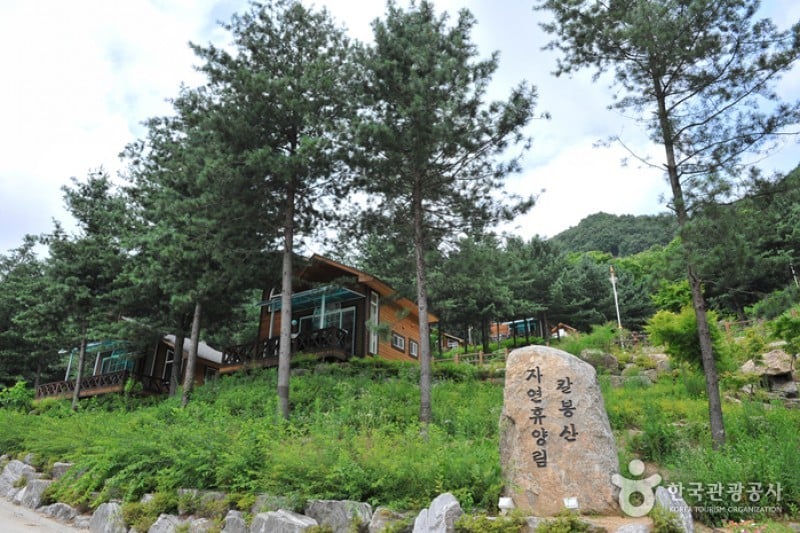 カルボン山自然休養林 (13/13)
