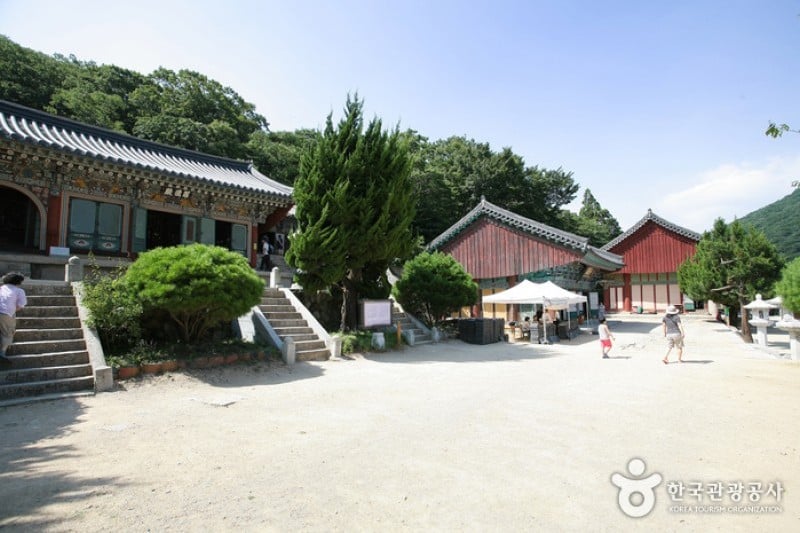 梵魚寺 (9/15)