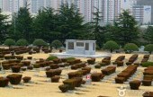 在韓UN記念公園