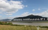 乙淑島 渡り鳥飛来地