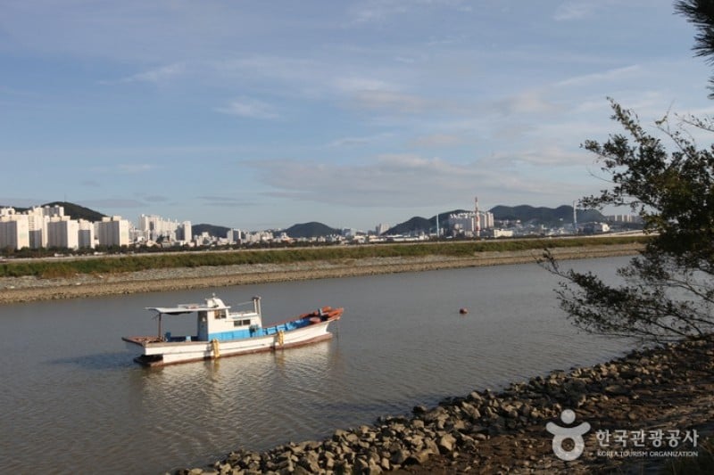 乙淑島 渡り鳥飛来地 (3/8)