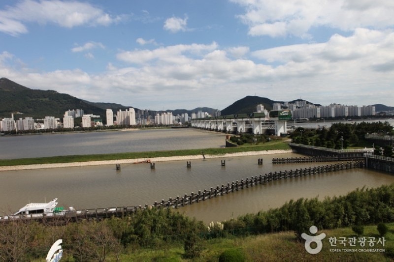 乙淑島 渡り鳥飛来地 (4/8)
