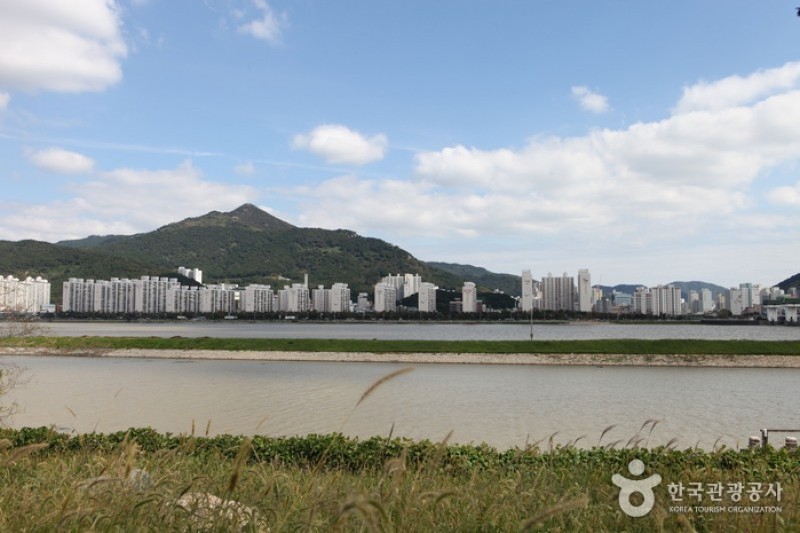 乙淑島 渡り鳥飛来地 (7/8)