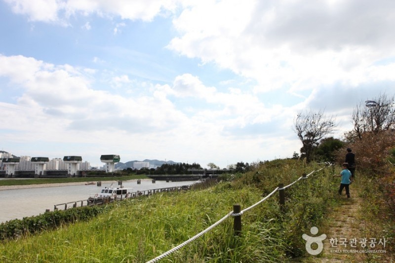 乙淑島 渡り鳥飛来地 (8/8)