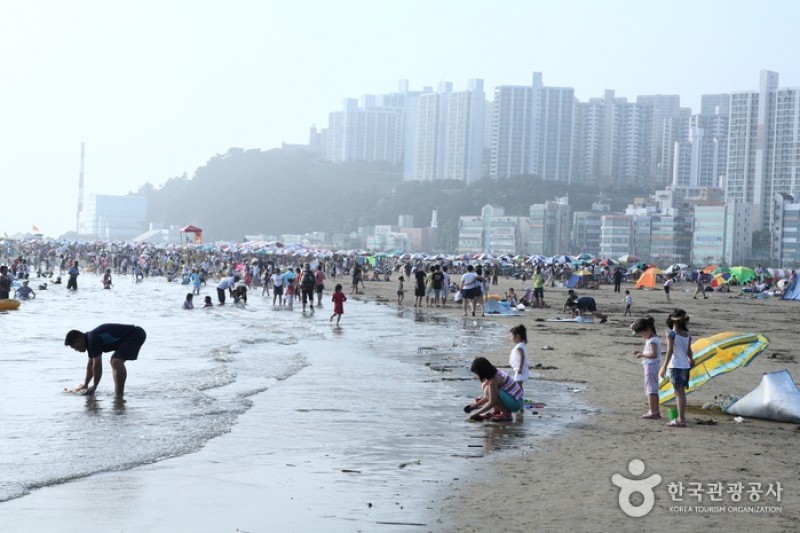 多大浦海水浴場 (26/27)