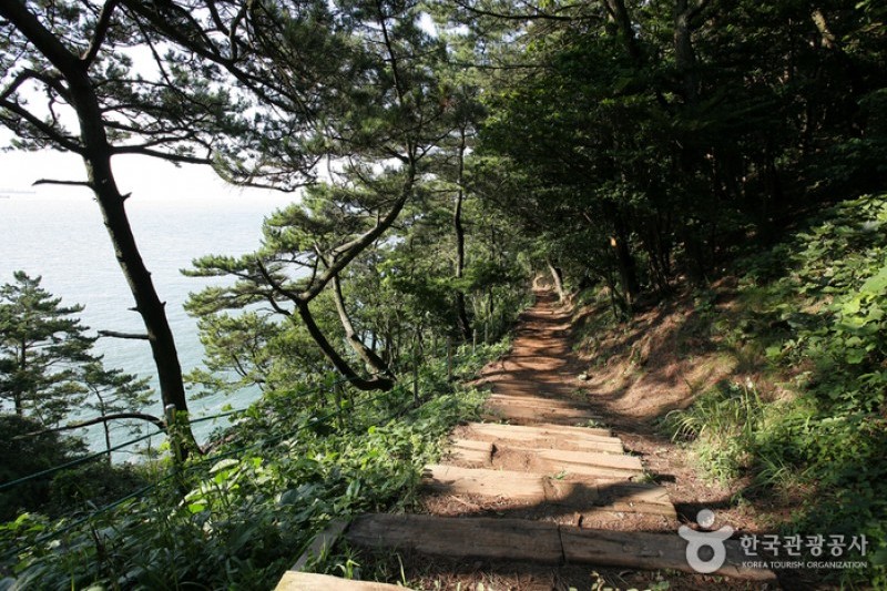 釜山 岩南公園 (1/10)