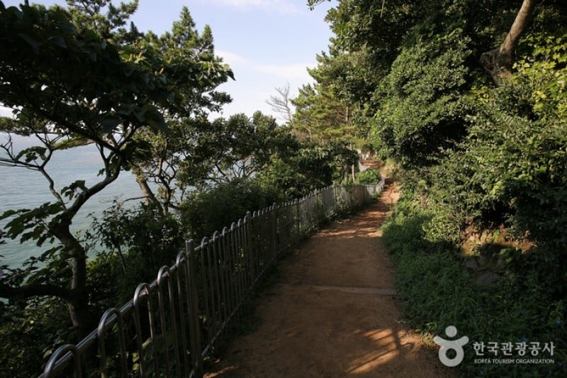 釜山 岩南公園 (2/10)