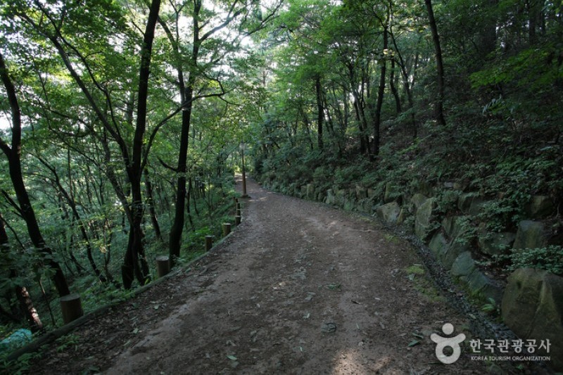釜山 岩南公園 (3/10)