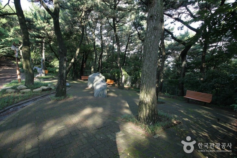 釜山 岩南公園 (5/10)