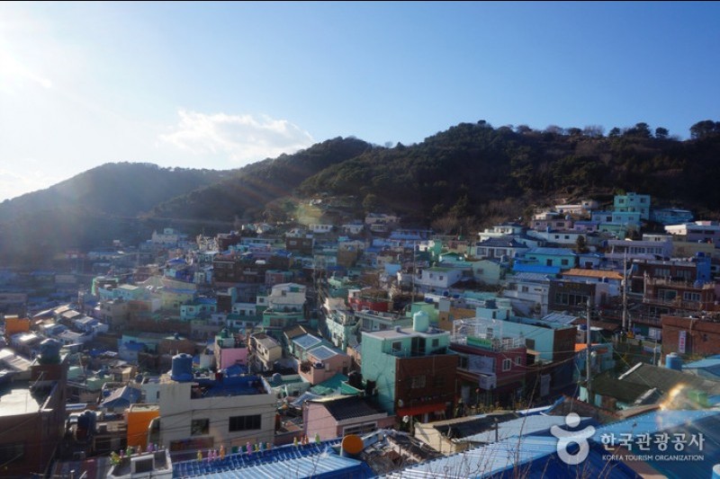 釜山甘川文化村 (1/16)