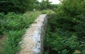金井山城