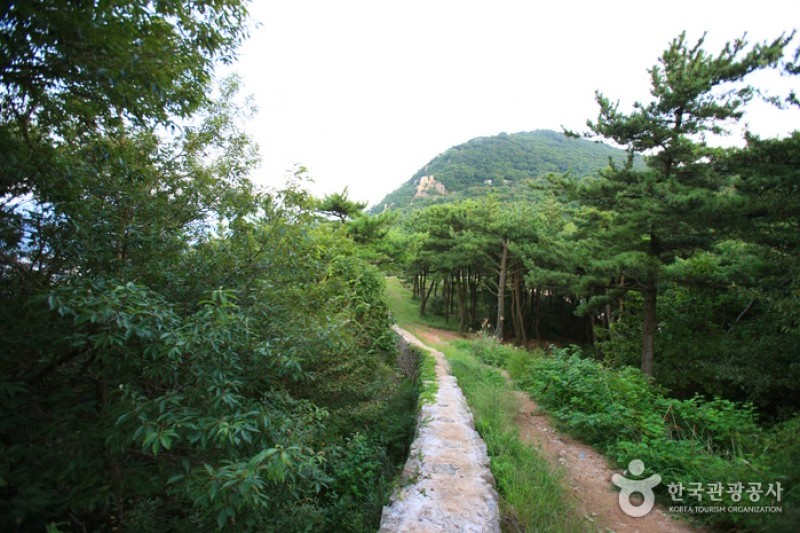金井山城 (1/3)