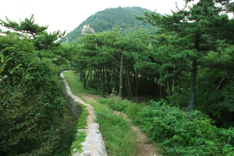 金井山城 (2/3)