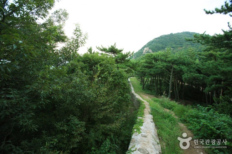 金井山城 (3/3)