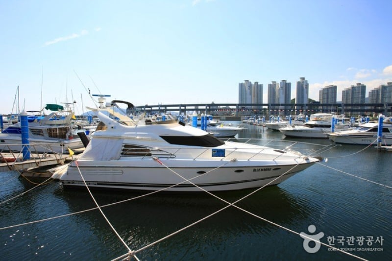 水営湾オリンピックヨット競技場 (8/13)