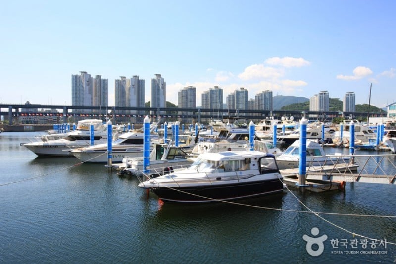 水営湾オリンピックヨット競技場 (9/13)