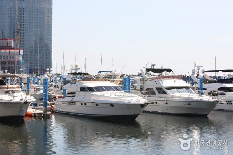 水営湾オリンピックヨット競技場 (10/13)