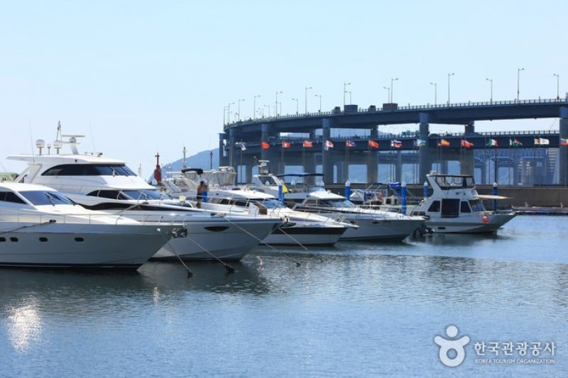 水営湾オリンピックヨット競技場 (11/13)