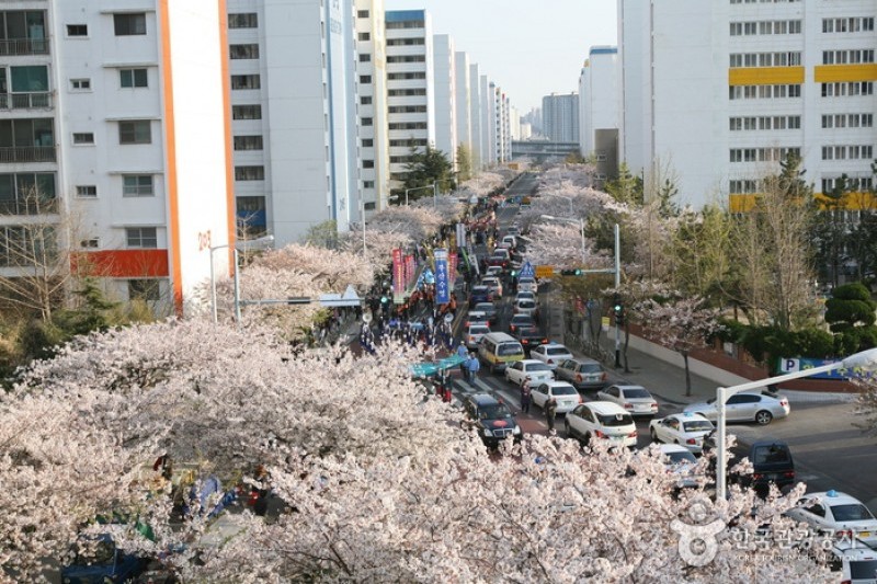 広安里漁坊祭り (3/25)
