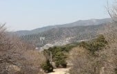 金井山