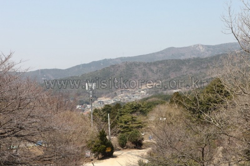 金井山 (1/6)