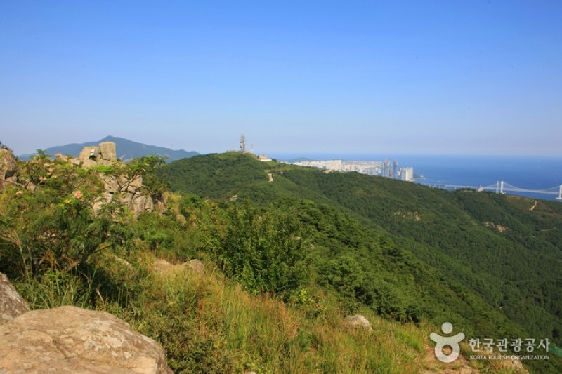 金蓮山 (2/3)